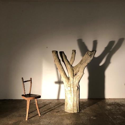 1950 concrete tree