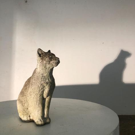 Concrete cat 