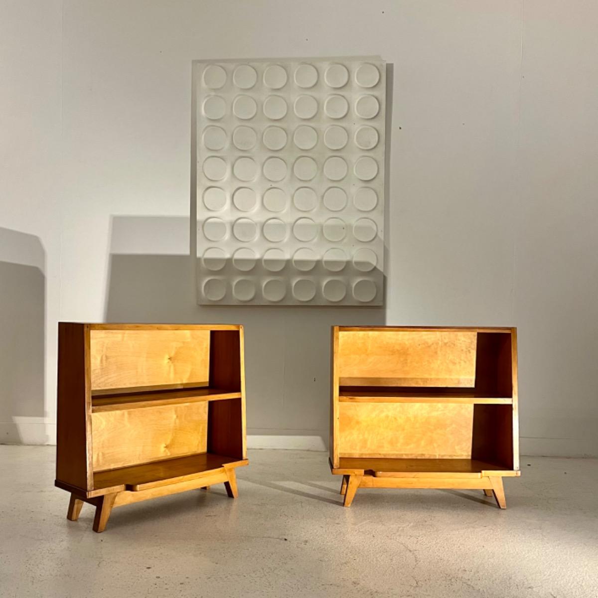 Pair of 1950 shelves cabinets 