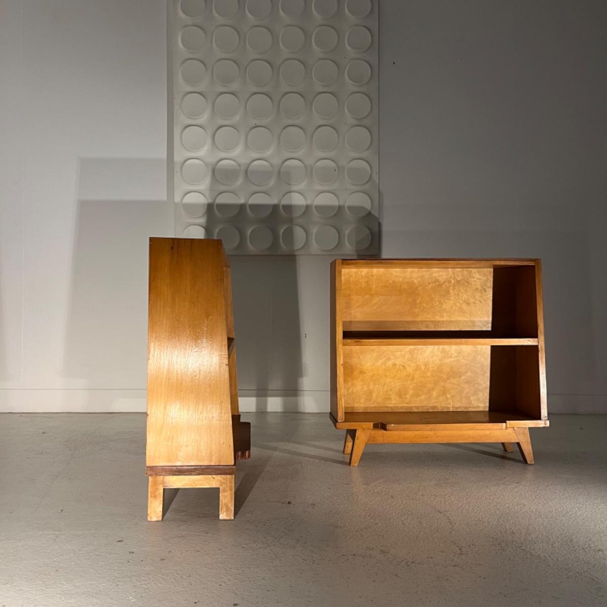 Pair of 1950 shelves cabinets 